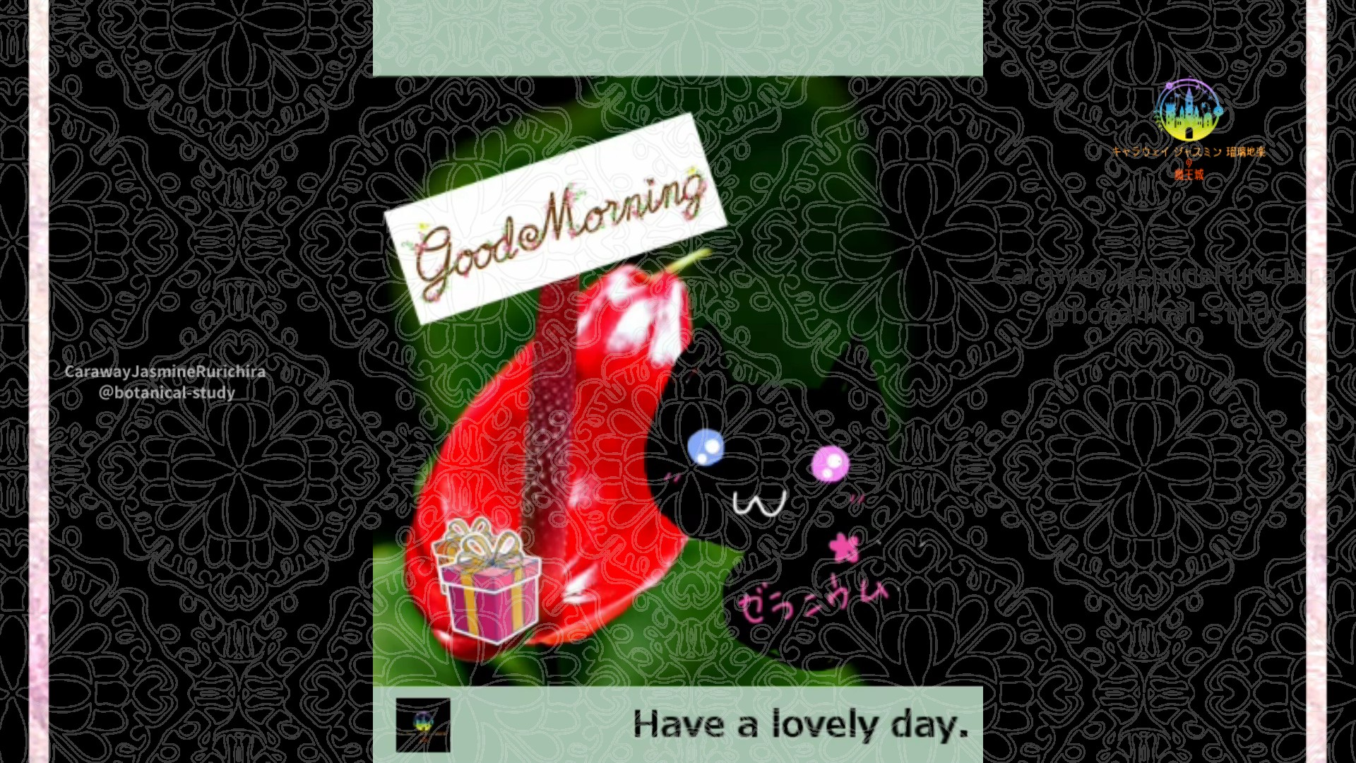 「アンスリウム」2月22日Rゼラニウム瑠璃地楽と今日の誕生花とおはようメッセージ＠botanical-study