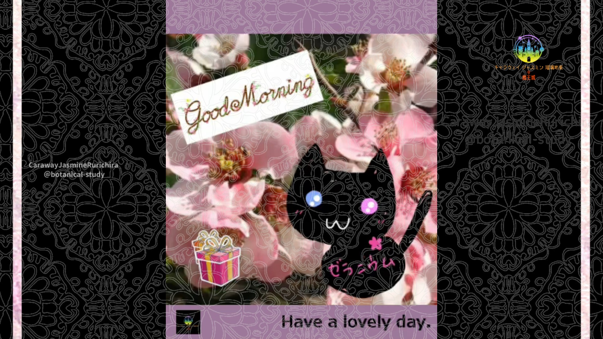 「ボケ」2月17日Rゼラニウム瑠璃地楽と今日の誕生花とおはようメッセージ＠botanical-study