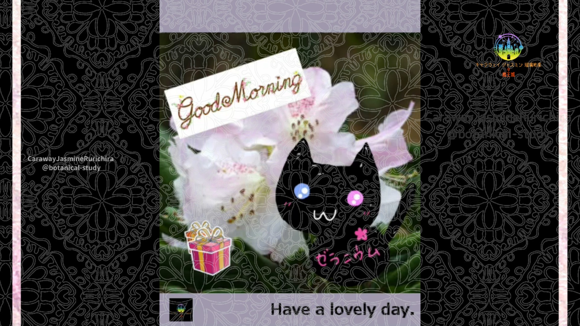 「シャクナゲ」2月20日Rゼラニウム瑠璃地楽と今日の誕生花とおはようメッセージ＠botanical-study