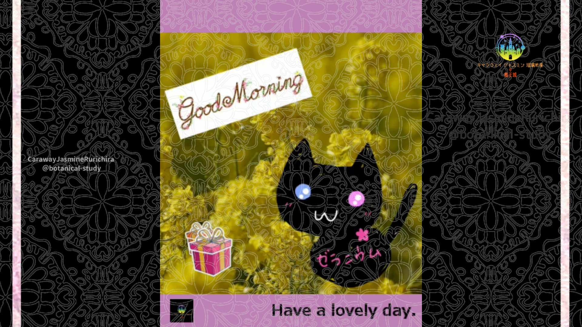 「ナノハナ」2月6日Rゼラニウム瑠璃地楽と今日の誕生花とおはようメッセージ＠botanical-study