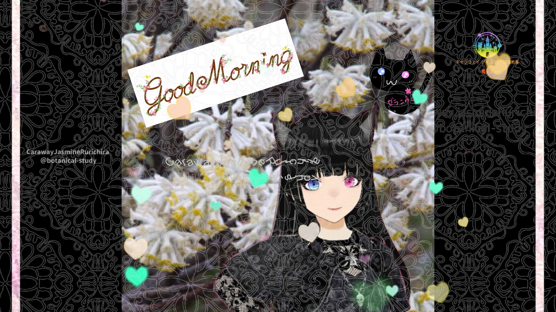 「ミツマタ」とCジャスミン瑠璃地楽の今日の誕生花B-2月15日＠botanical-study