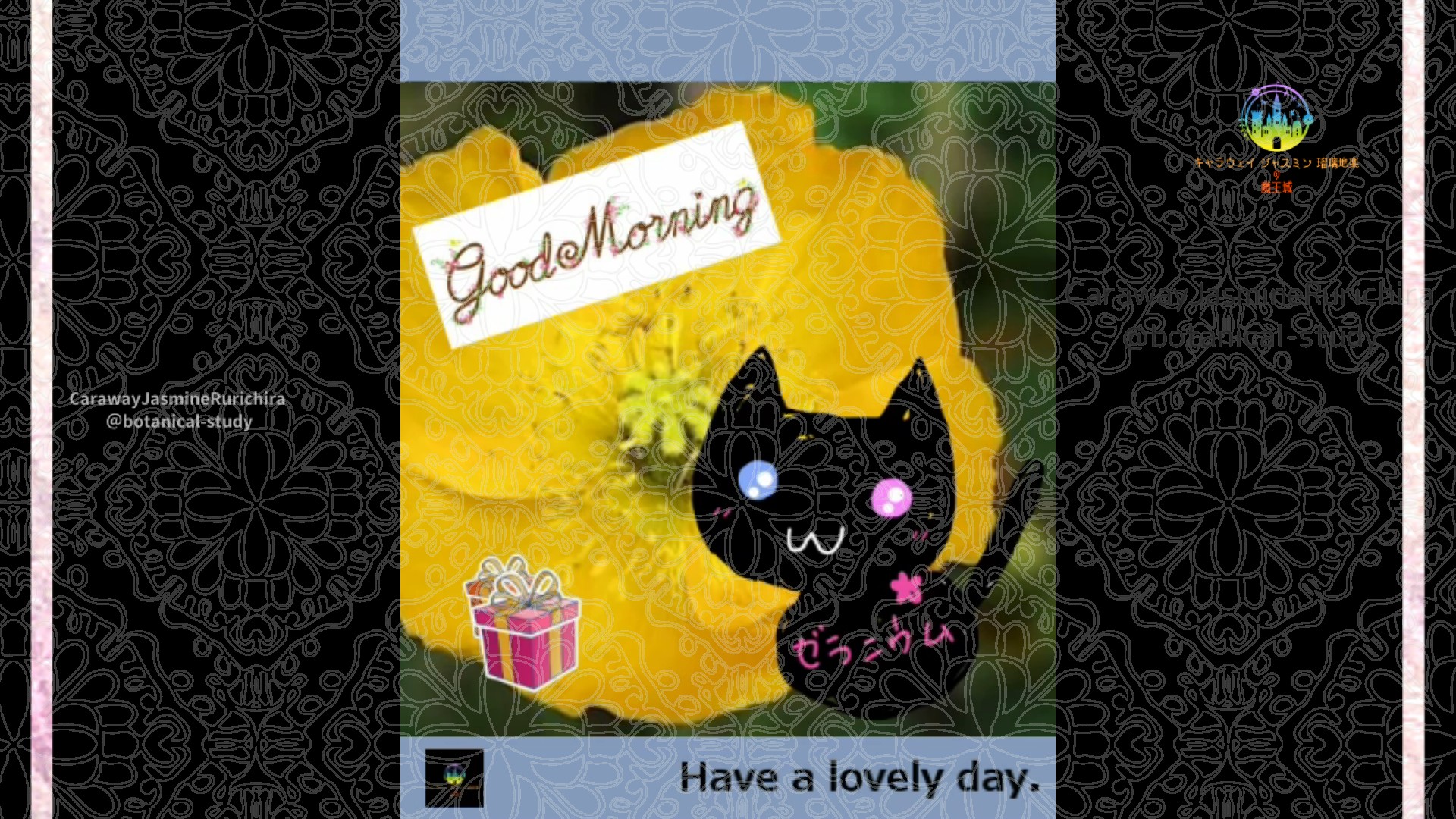 「ポピー」2月23日Rゼラニウム瑠璃地楽と今日の誕生花とおはようメッセージ＠botanical-study