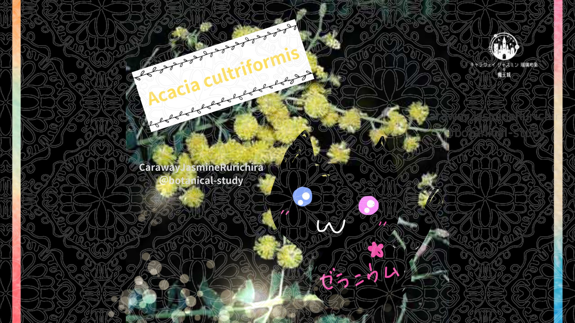 今日の誕生花A　2.14