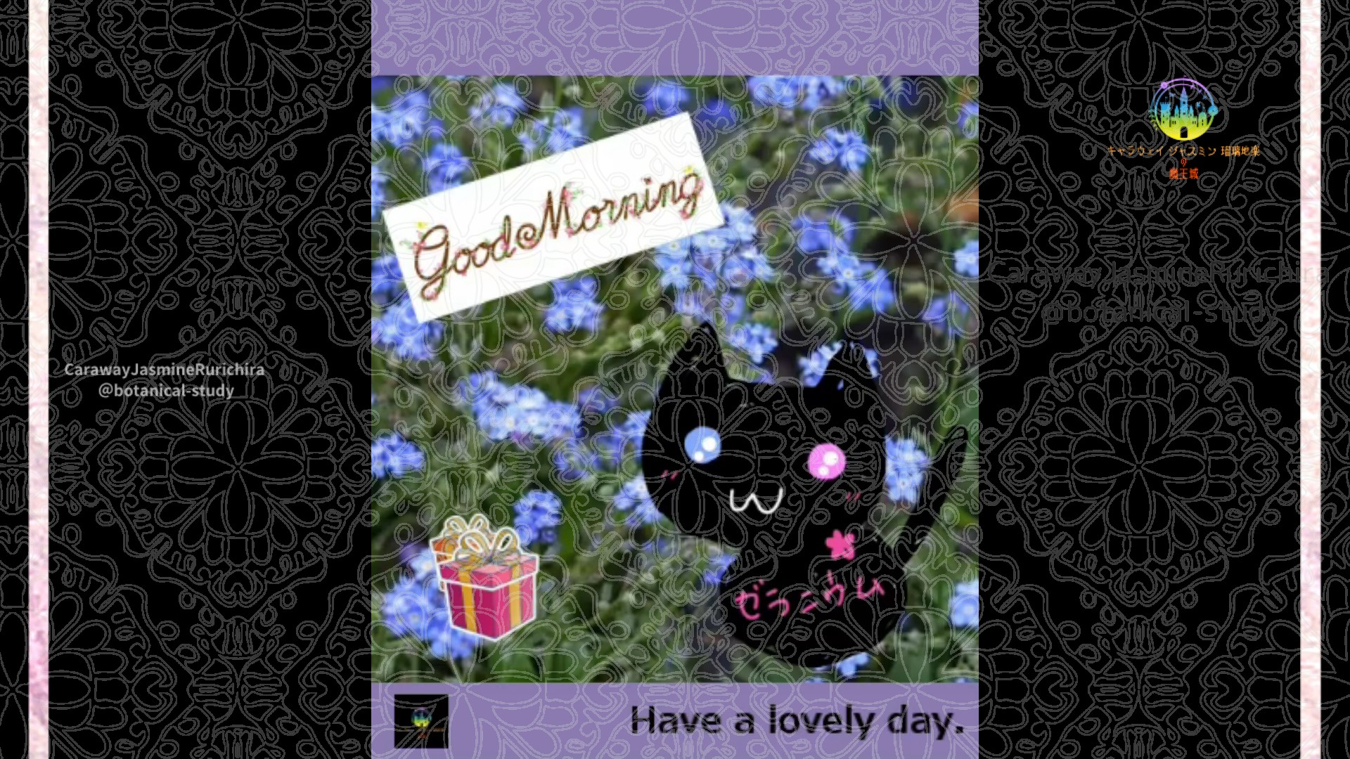 「ワスレナグサ」2月7日Rゼラニウム瑠璃地楽と今日の誕生花とおはようメッセージ＠botanical-study