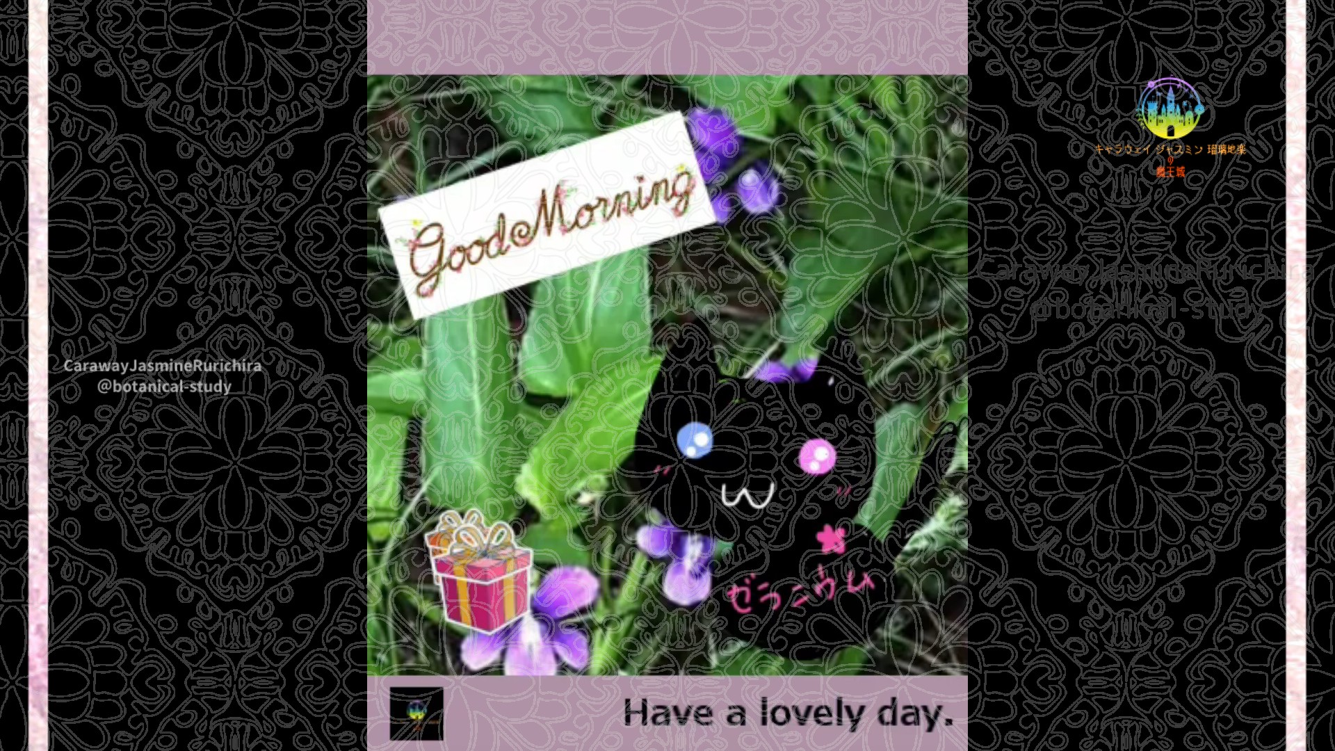 「スミレ」2月21日Rゼラニウム瑠璃地楽と今日の誕生花とおはようメッセージ＠botanical-study