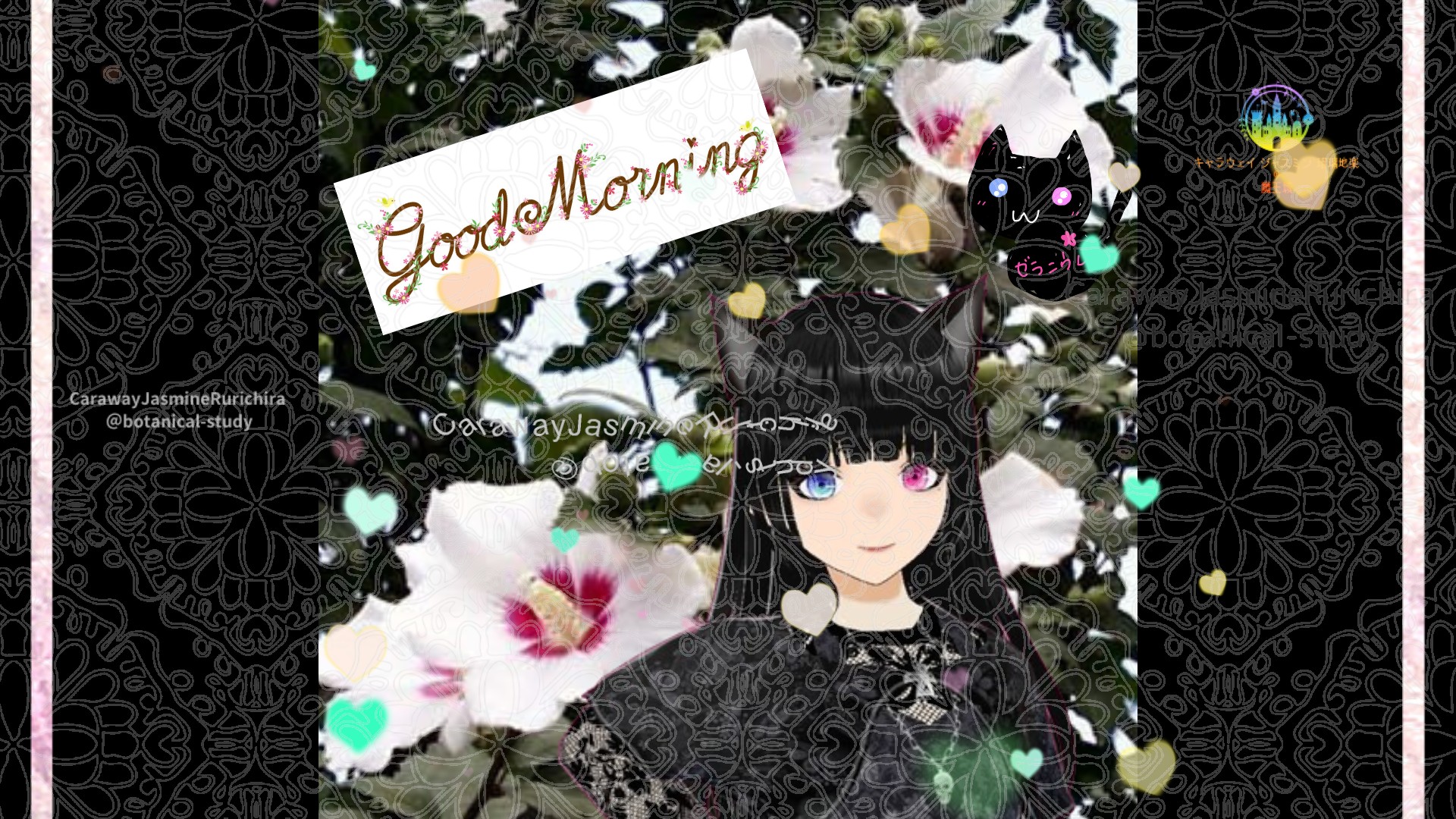 「ムクゲ」とCジャスミン瑠璃地楽の今日の誕生花B-2月22日＠botanical-study