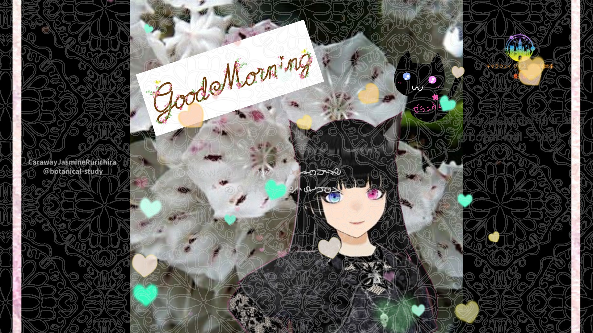 「カルミア」とCジャスミン瑠璃地楽の今日の誕生花B-2月20日＠botanical-study