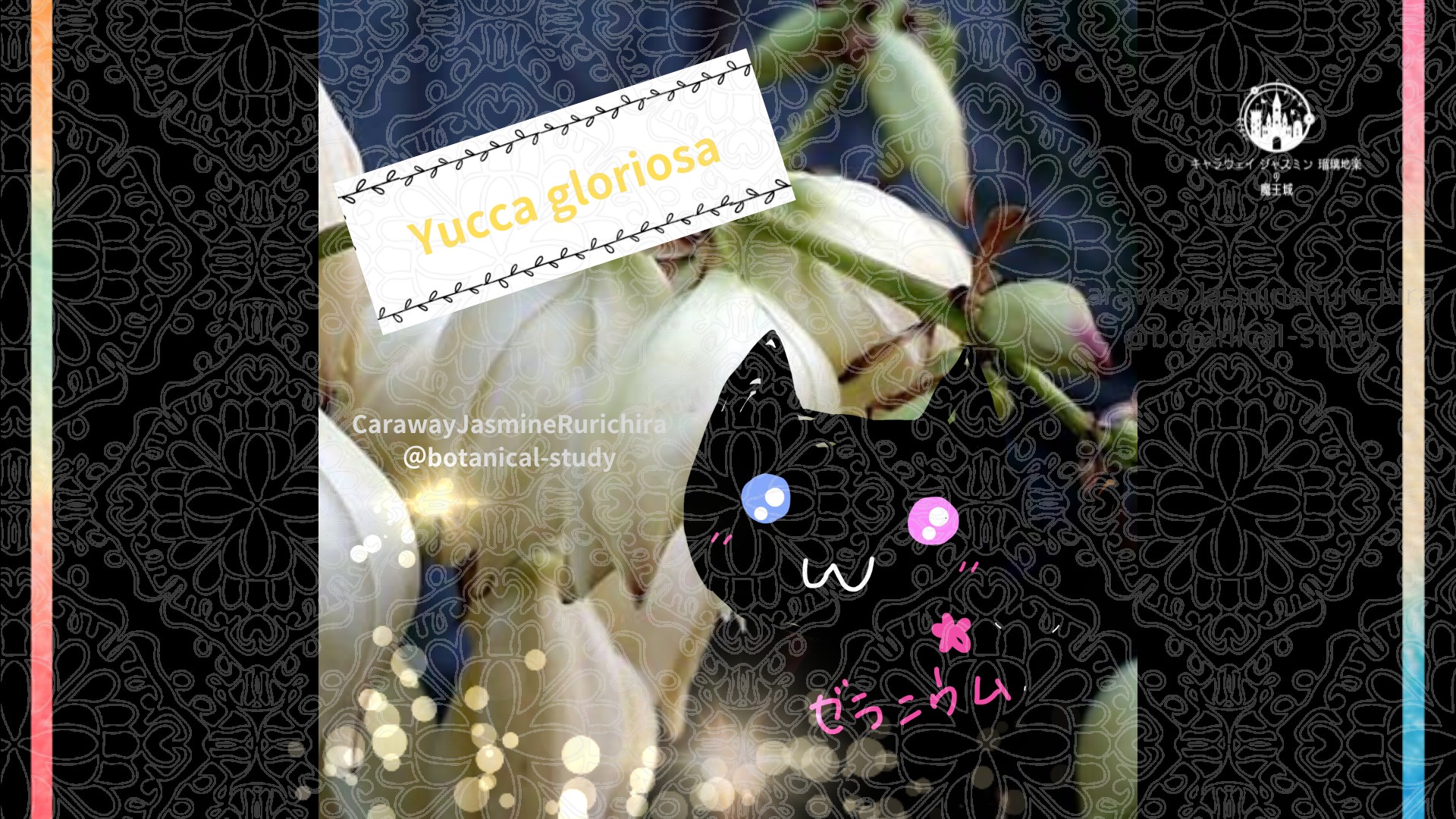 今日の誕生花A　2.25