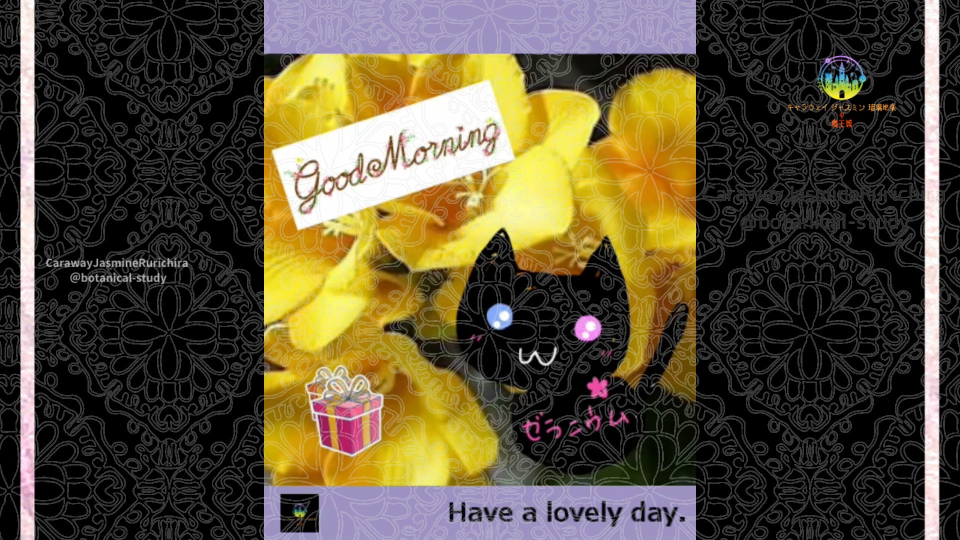 「フリージア」2月11日Rゼラニウム瑠璃地楽と今日の誕生花とおはようメッセージ＠botanical-study