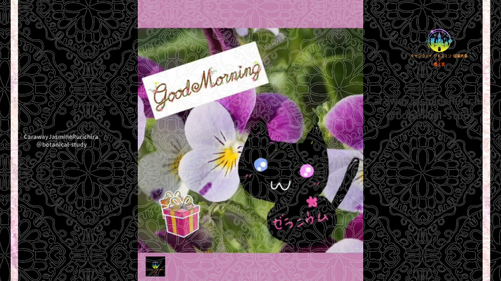 「スミレ」2月8日Rゼラニウム瑠璃地楽と今日の誕生花とおはようメッセージ＠botanical-study