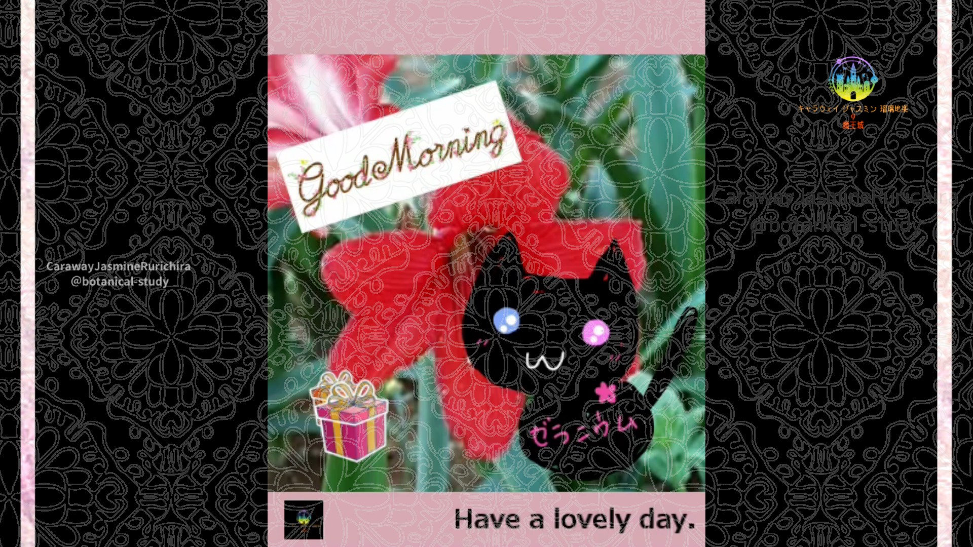 「アマリリス」2月24日Rゼラニウム瑠璃地楽と今日の誕生花とおはようメッセージ＠botanical-study