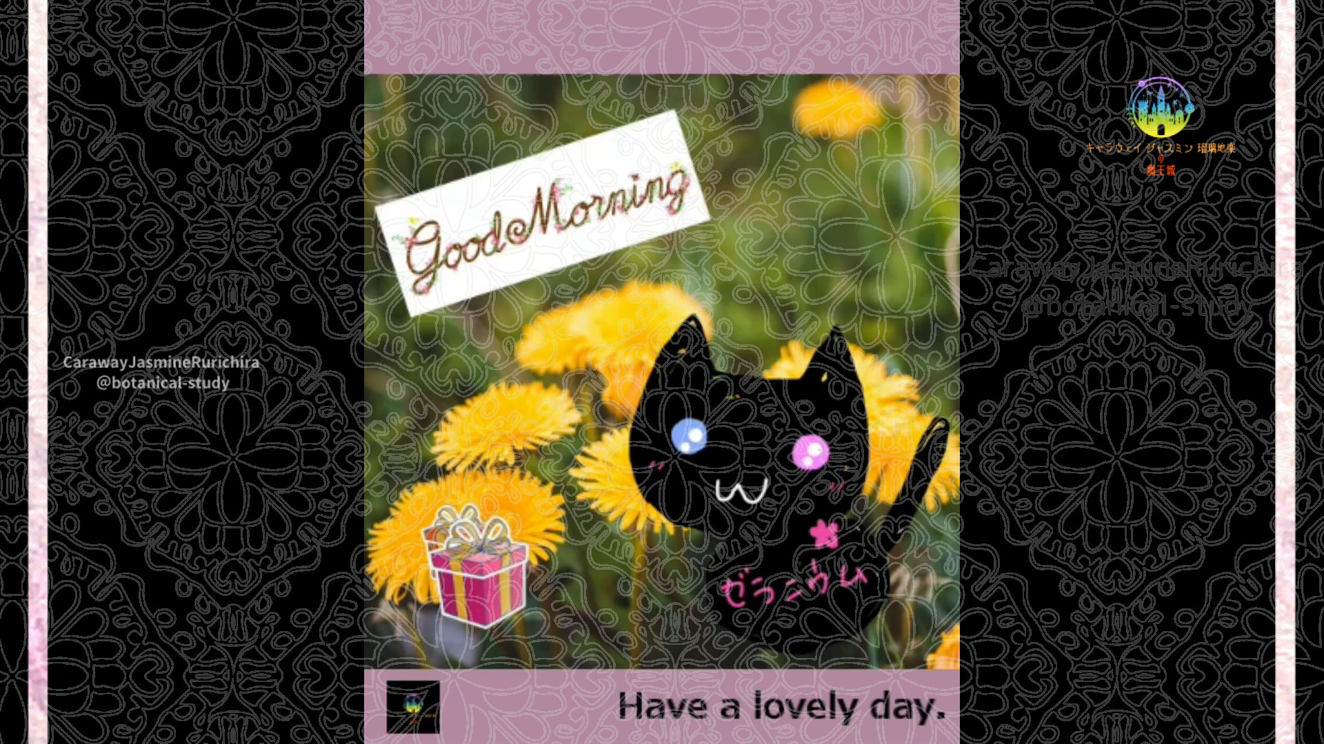 「タンポポ」2月18日Rゼラニウム瑠璃地楽と今日の誕生花とおはようメッセージ＠botanical-study