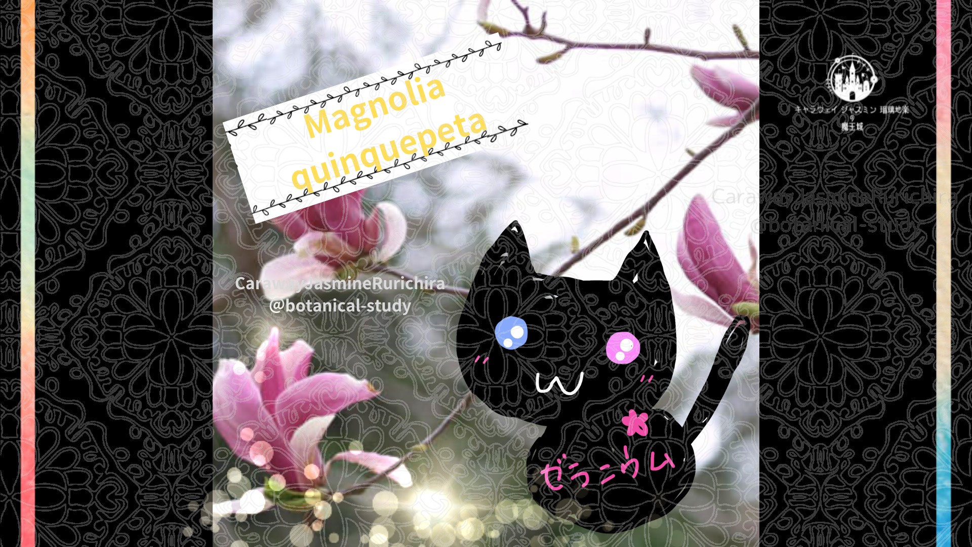 今日の誕生花A　2.19