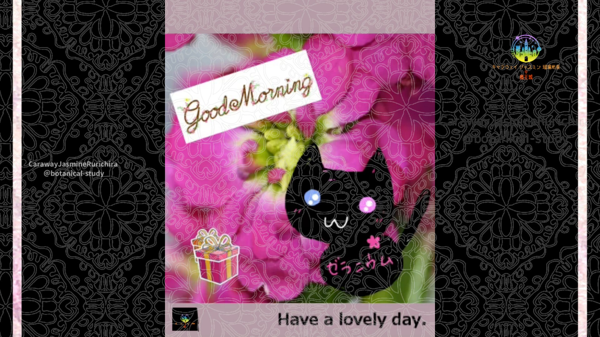 「ストック」2月9日Rゼラニウム瑠璃地楽と今日の誕生花とおはようメッセージ＠botanical-study