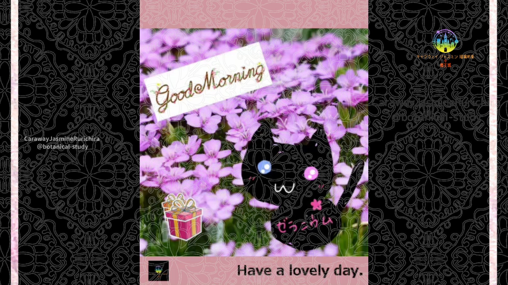 「プリムラ」2月19日Rゼラニウム瑠璃地楽と今日の誕生花とおはようメッセージ＠botanical-study