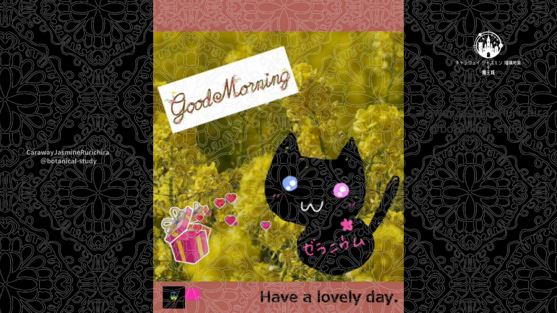 「ナノハナ」3月27日Rゼラニウム瑠璃地楽と今日の誕生花とおはようメッセージ＠botanical-study