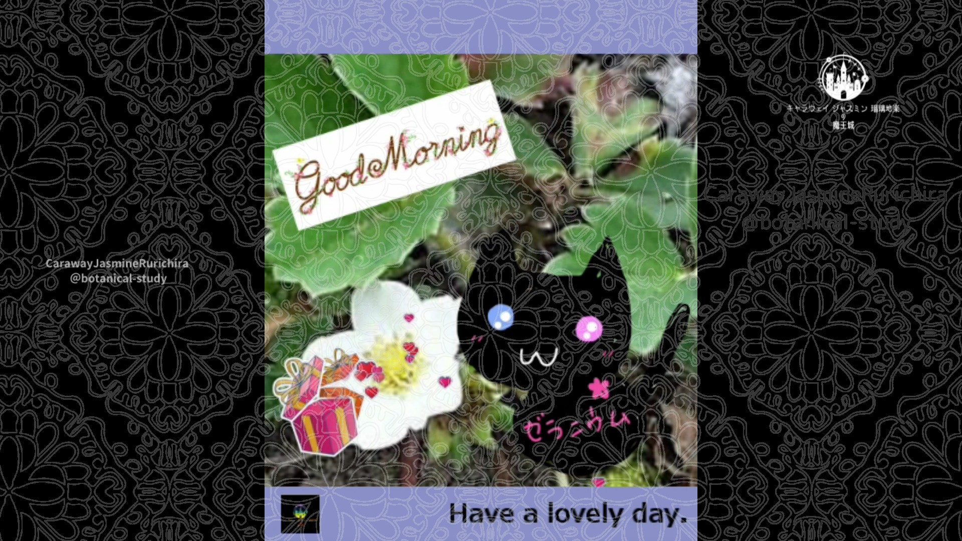 「イチゴ」3月31日Rゼラニウム瑠璃地楽と今日の誕生花とおはようメッセージ＠botanical-study