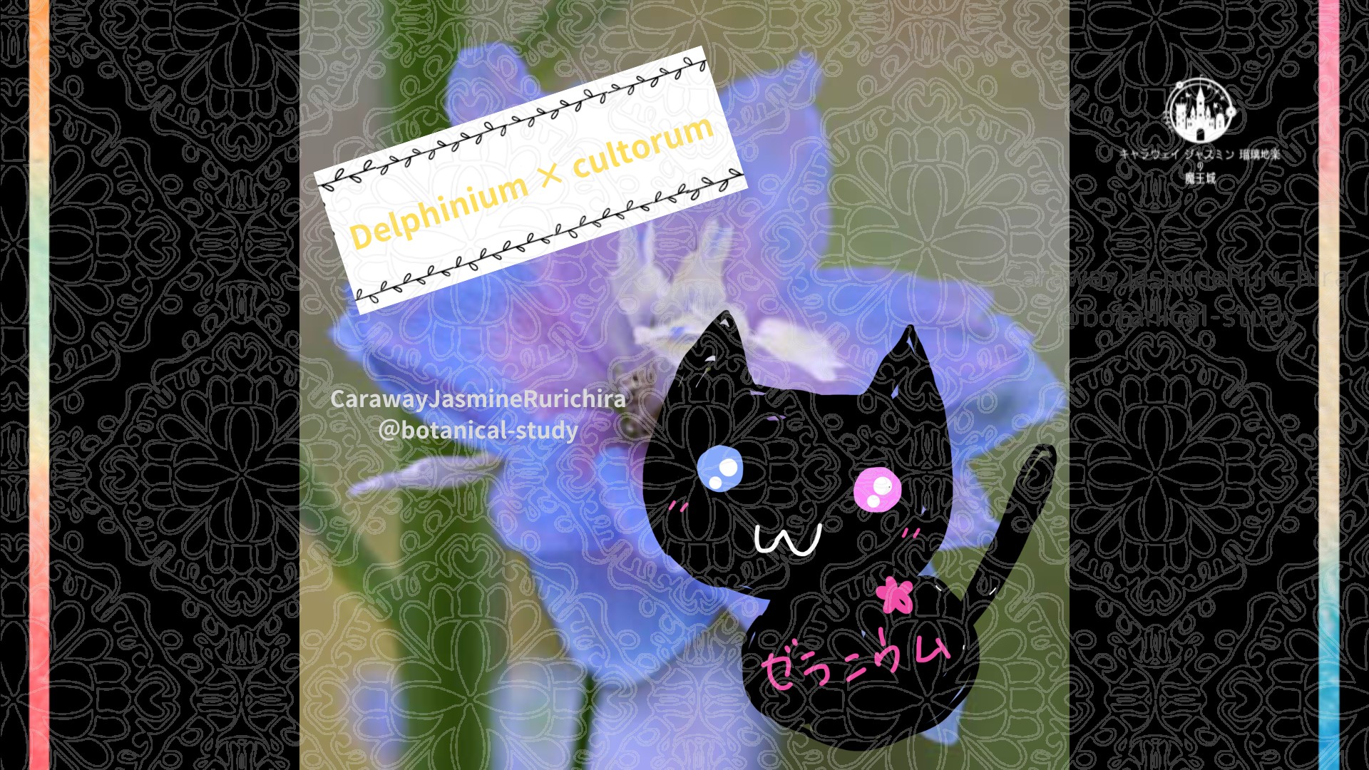 今日の誕生花A　3.23