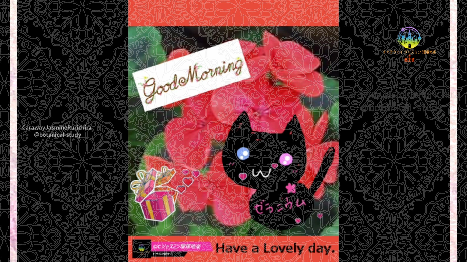 「ゼラニウム」4月3日Rゼラニウム瑠璃地楽と今日の誕生花とおはようメッセージ＠botanical-study