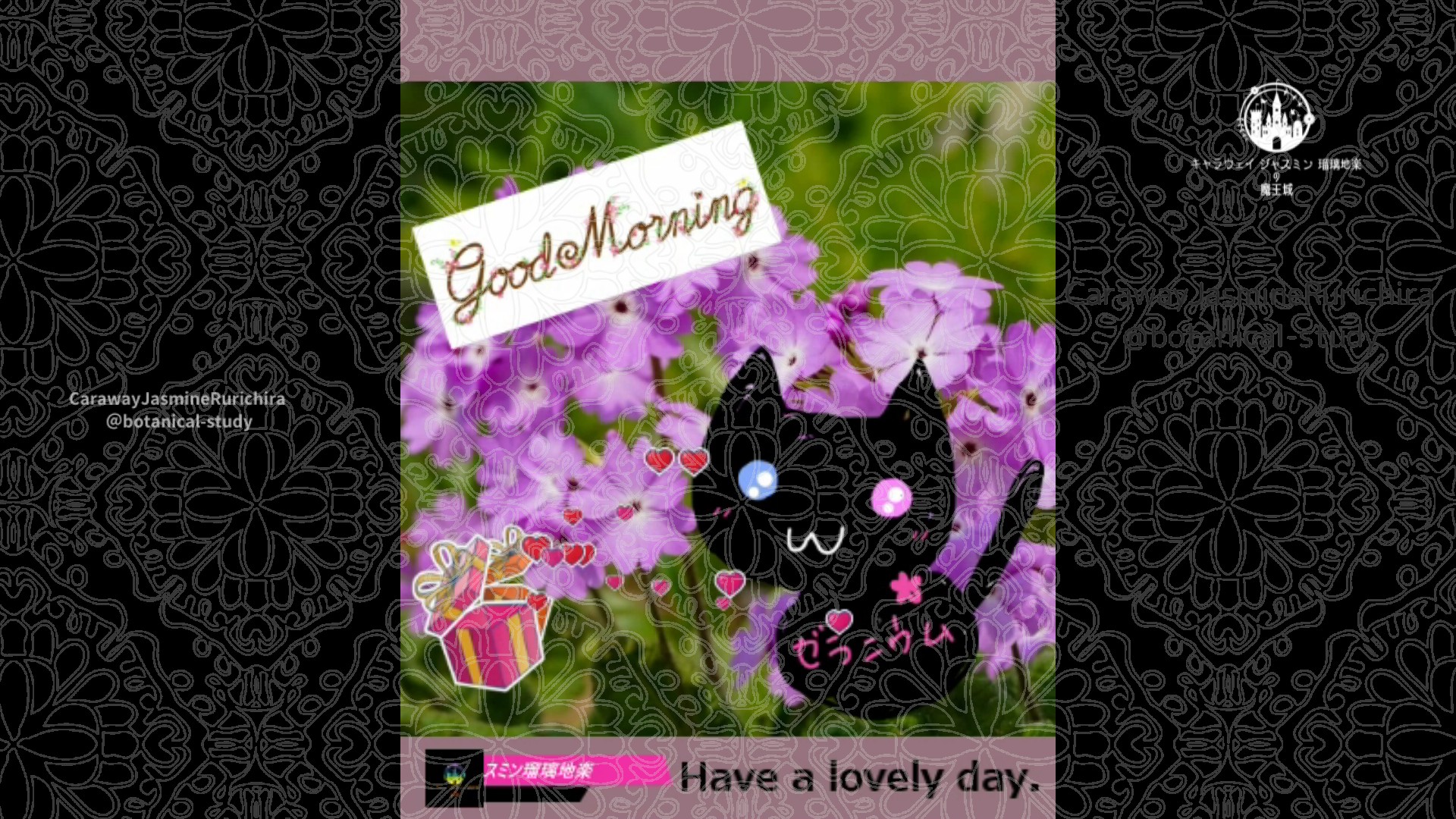 「セルピルム」3月26日Rゼラニウム瑠璃地楽と今日の誕生花とおはようメッセージ＠botanical-study