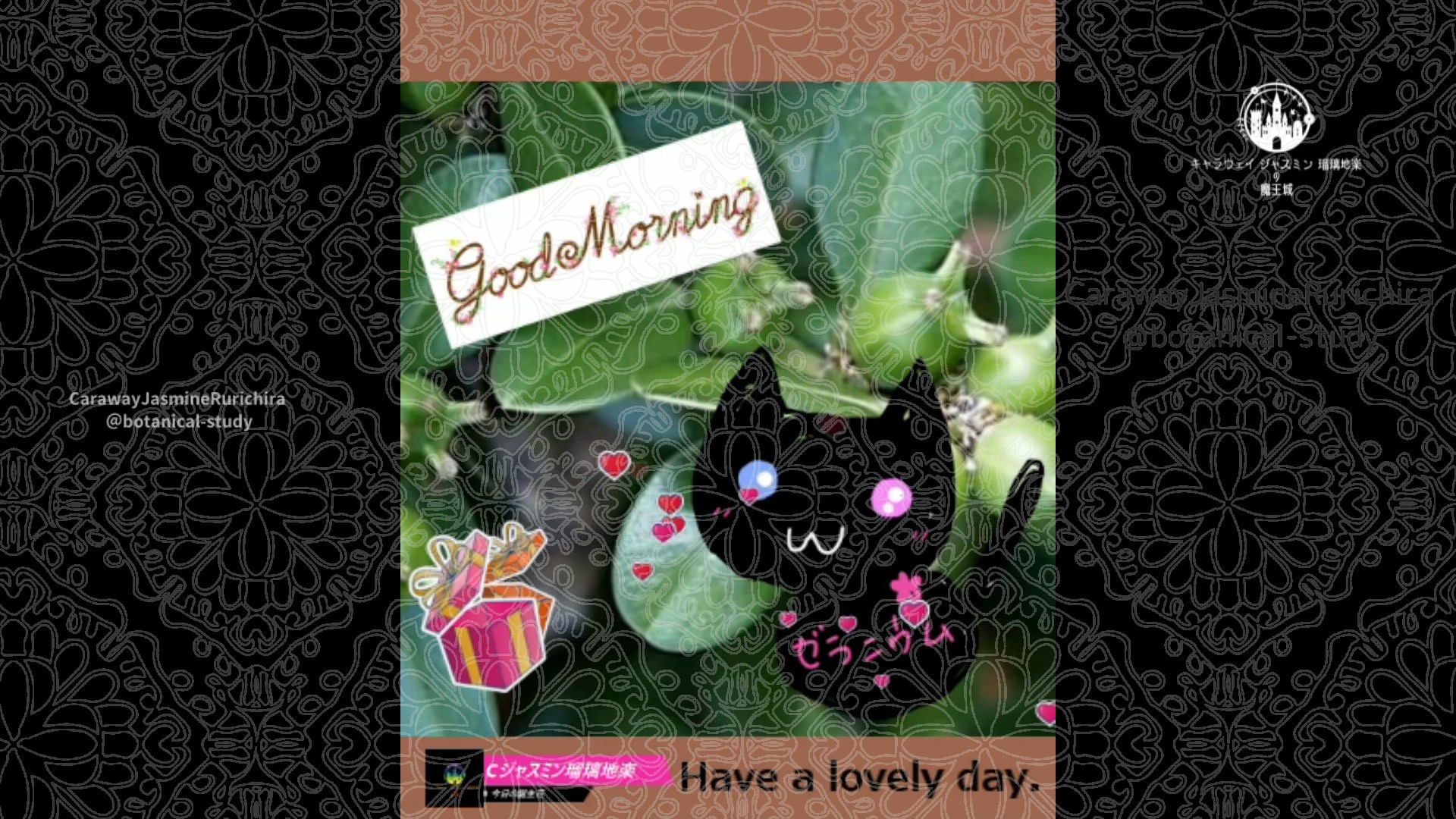 「ツゲ」3月28日Rゼラニウム瑠璃地楽と今日の誕生花とおはようメッセージ＠botanical-study