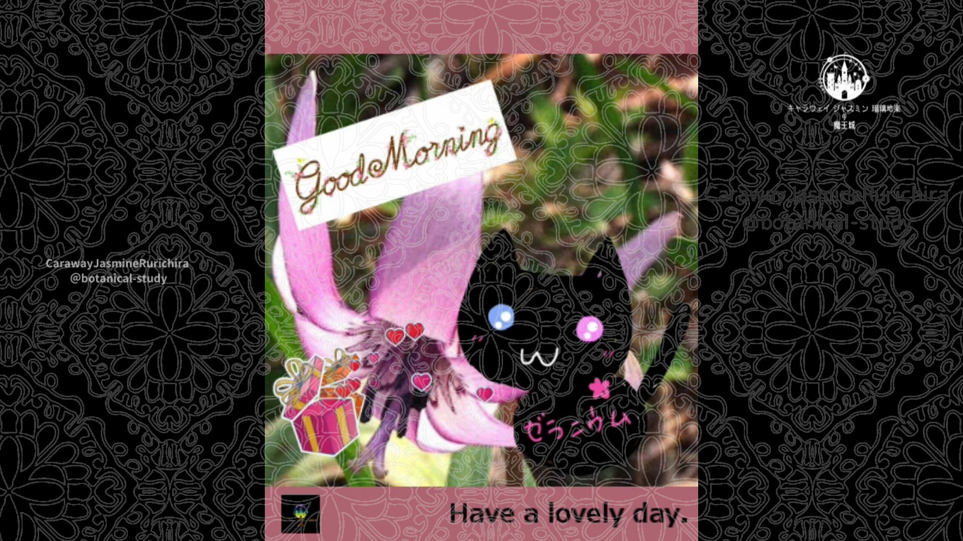 「カタクリ」3月24日Rゼラニウム瑠璃地楽と今日の誕生花とおはようメッセージ＠botanical-study