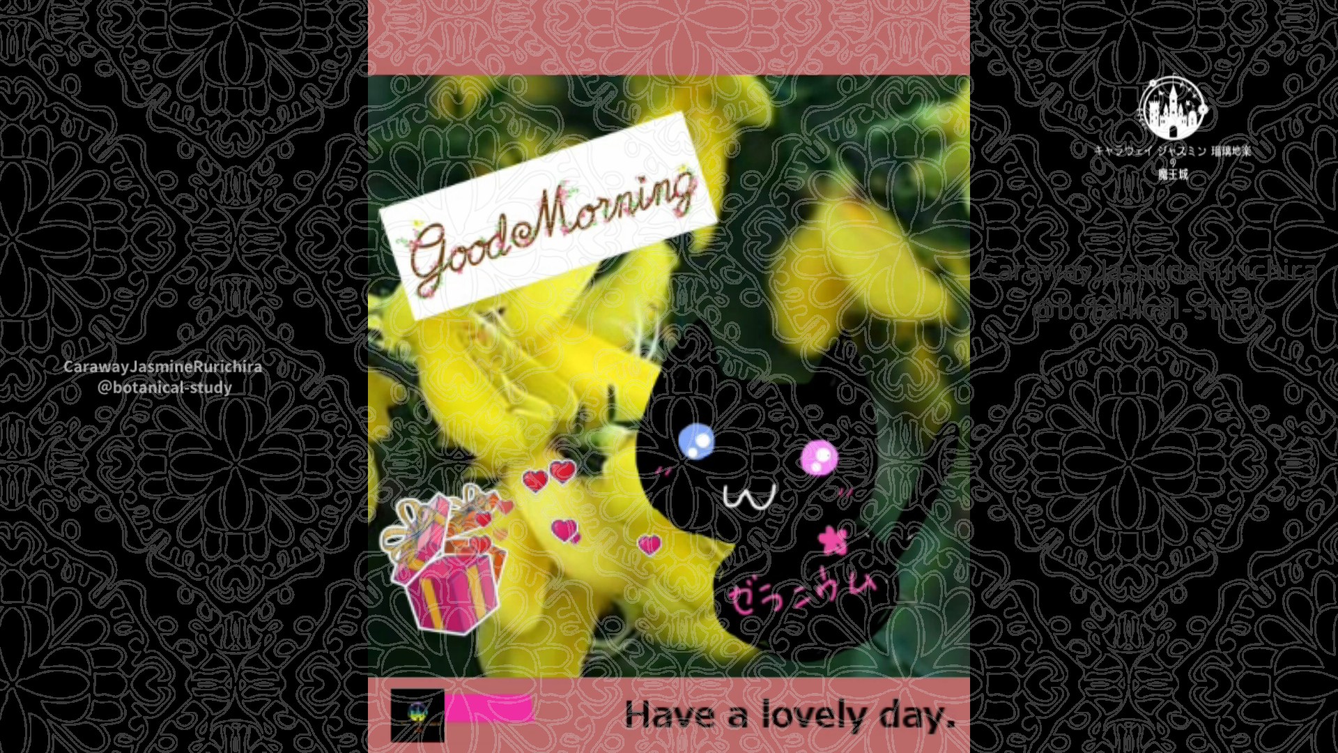 「エニシダ」3月30日Rゼラニウム瑠璃地楽と今日の誕生花とおはようメッセージ＠botanical-study