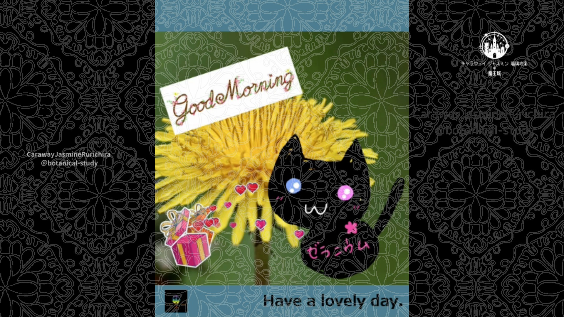 「タンポポ」3月23日Rゼラニウム瑠璃地楽と今日の誕生花とおはようメッセージ＠botanical-study