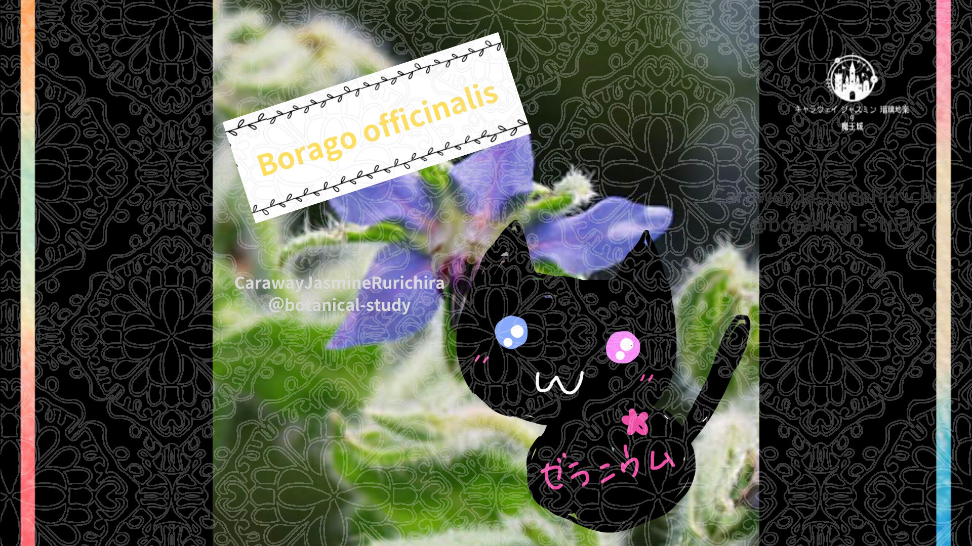 今日の誕生花A　３.31