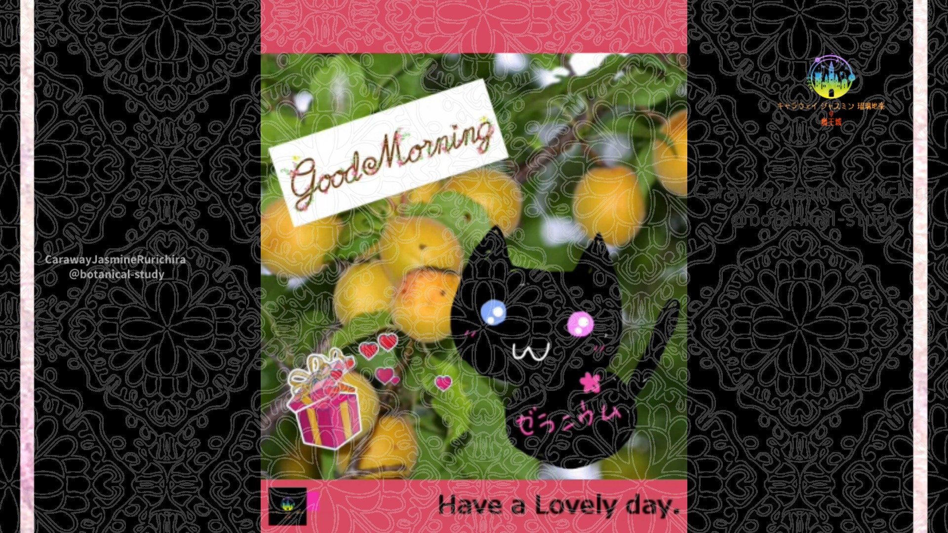 「アンズ」4月12日Rゼラニウム瑠璃地楽と今日の誕生花とおはようメッセージ＠botanical-study