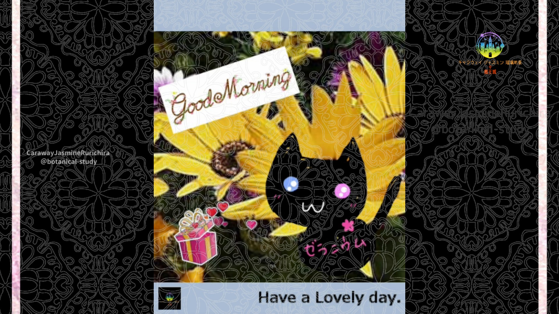 「ディモルフォセカ」4月7日Rゼラニウム瑠璃地楽と今日の誕生花とおはようメッセージ＠botanical-study