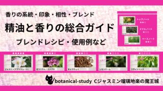 精油と香りの総合ガイド