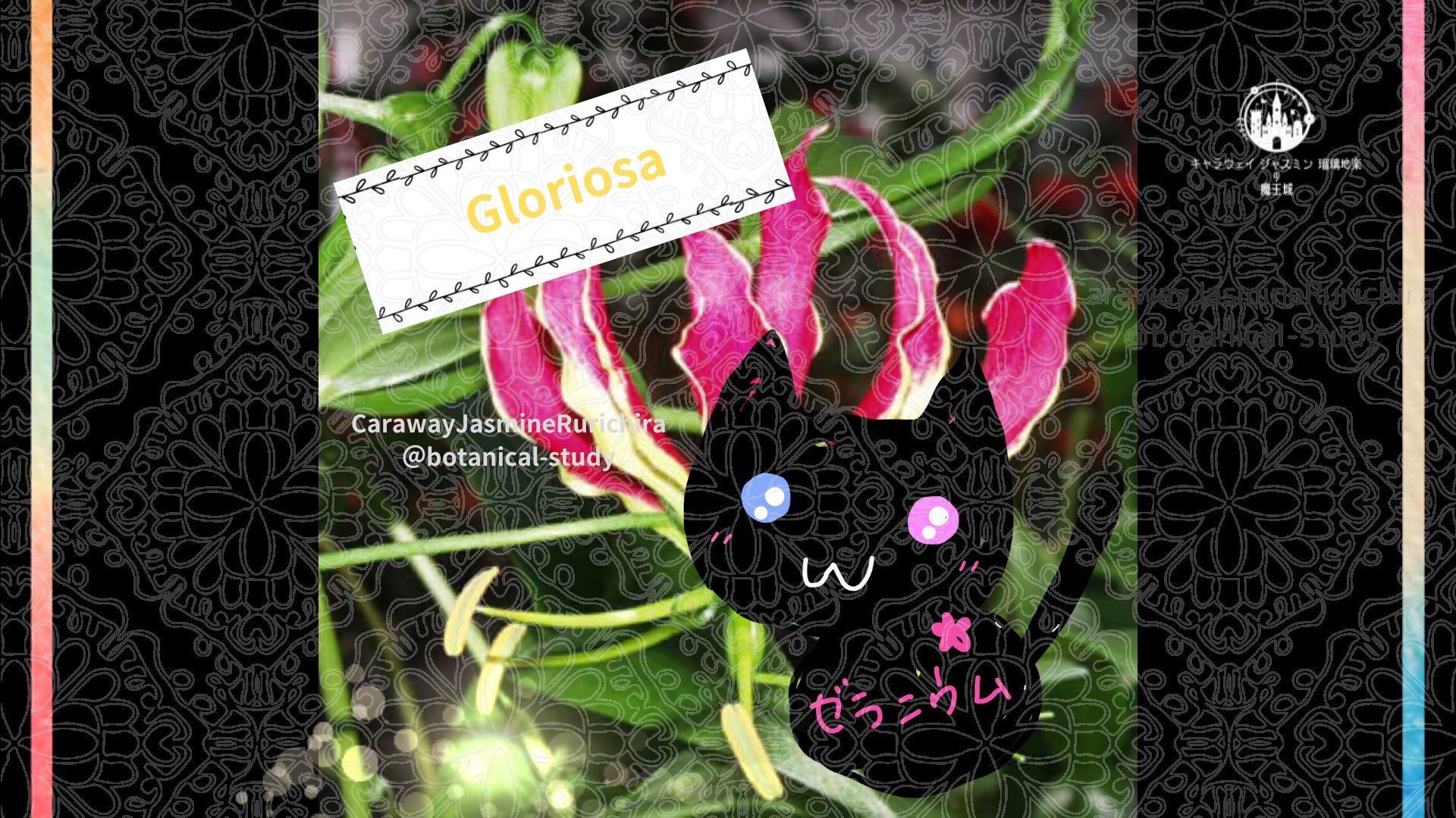 今日の誕生花A　4.16