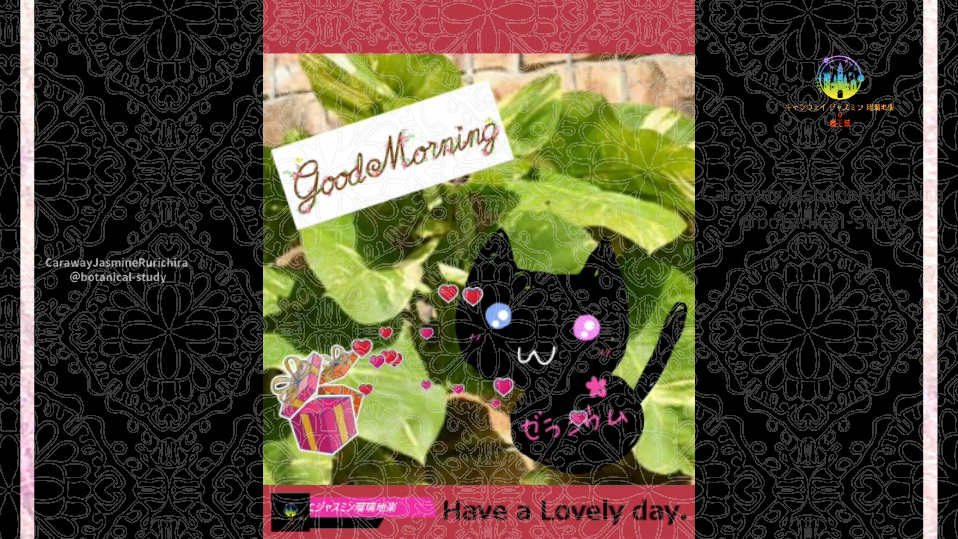 「ポトス」4月17日Rゼラニウム瑠璃地楽と今日の誕生花とおはようメッセージ＠botanical-study