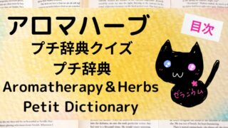 ★全種/アロマハーブスパイス基材　プチ辞典クイズ＆プチ辞典