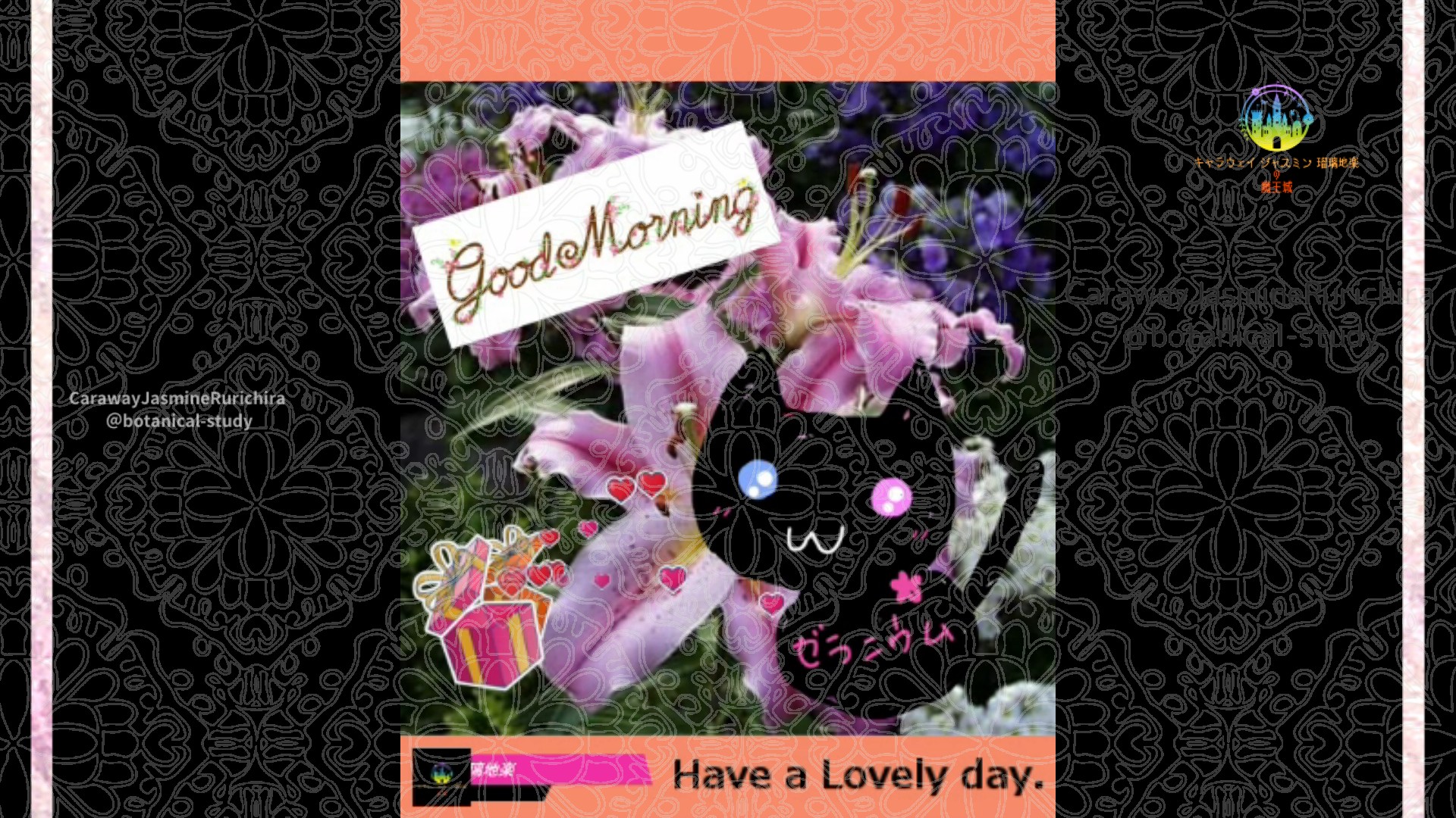 「ユリ」7月24日Rゼラニウム瑠璃地楽と今日の誕生花とおはようメッセージ＠botanical-study