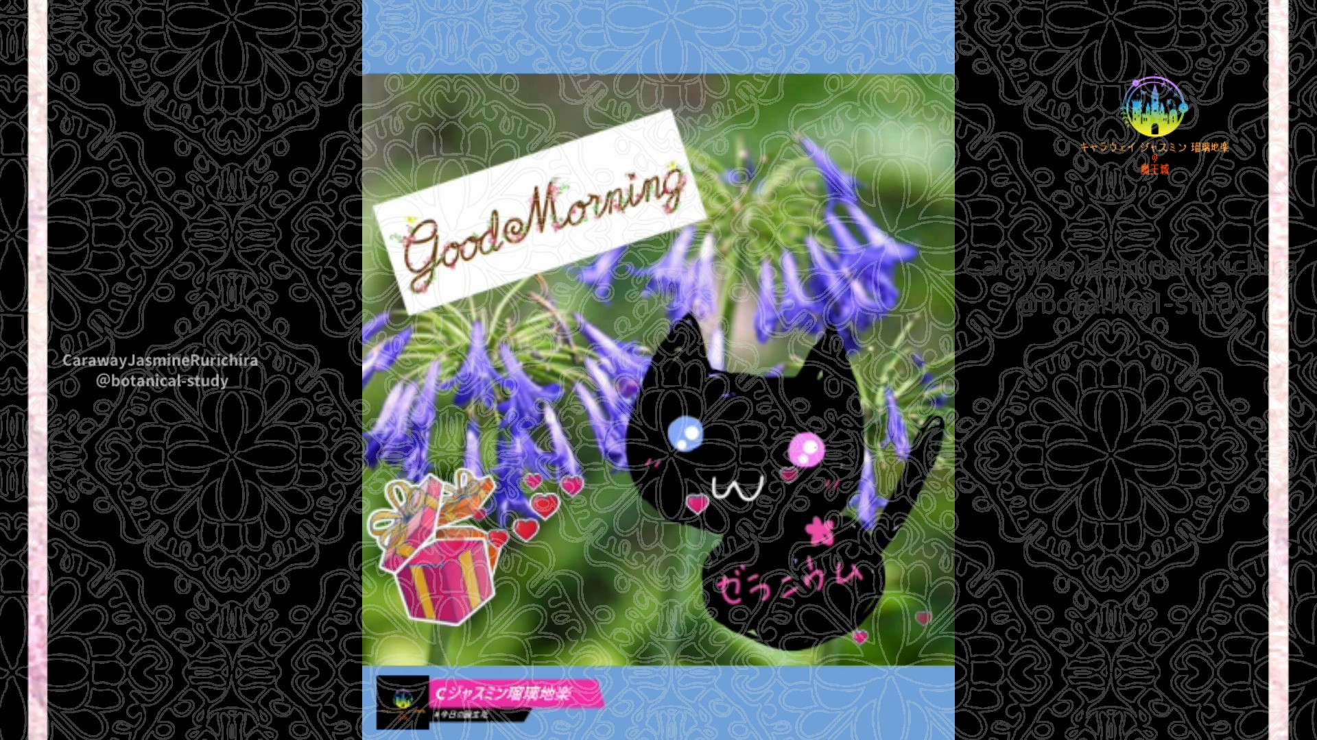 「アガパンサス」7月29日Rゼラニウム瑠璃地楽と今日の誕生花とおはようメッセージ＠botanical-study