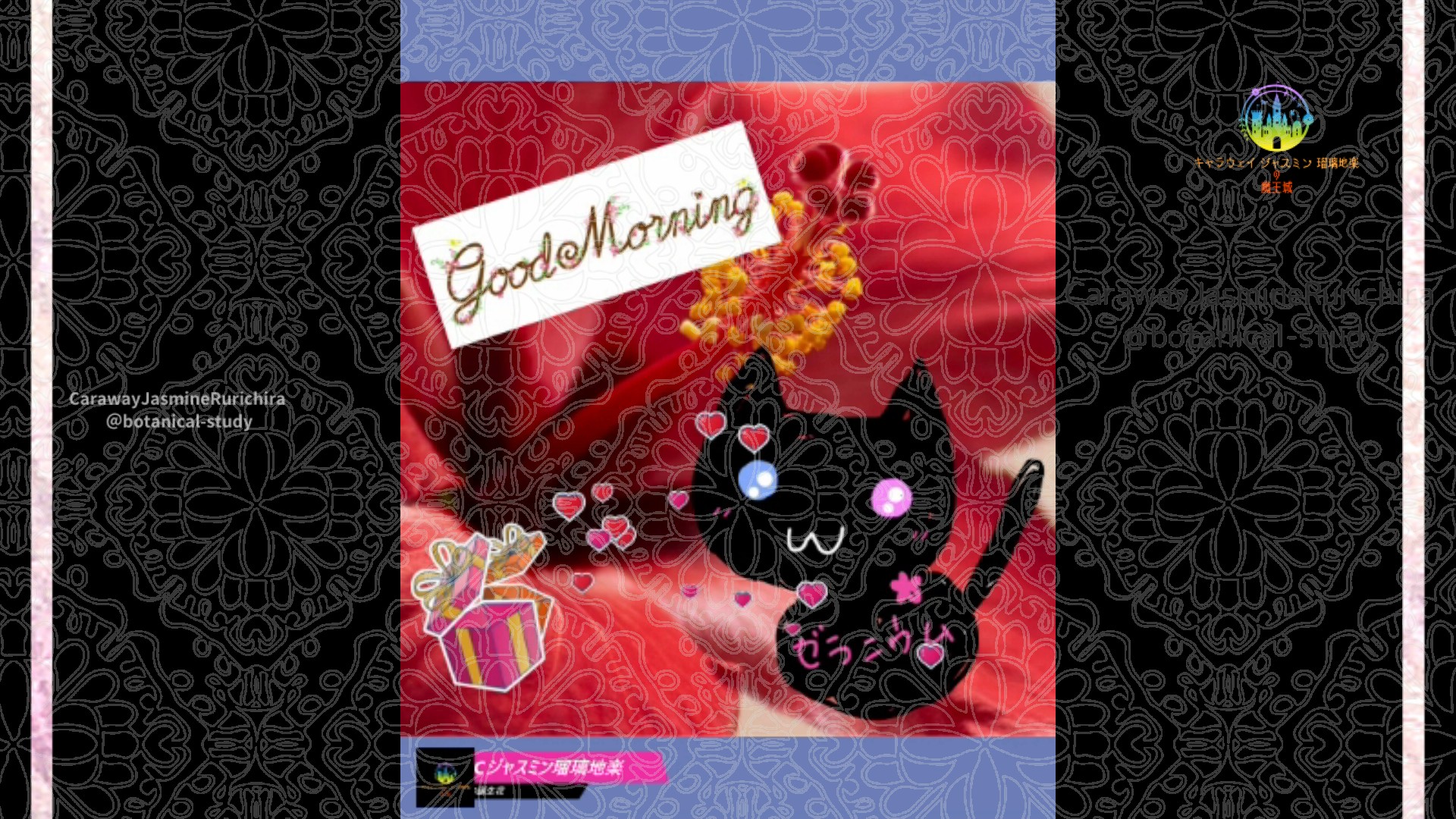 「ハイビスカス」7月25日Rゼラニウム瑠璃地楽と今日の誕生花とおはようメッセージ＠botanical-study