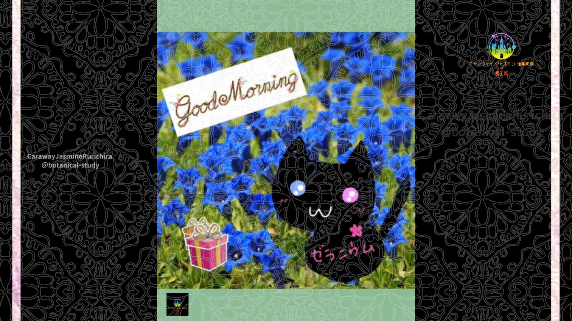 「リンドウ」9月12日Rゼラニウム瑠璃地楽と今日の誕生花とおはようメッセージ＠botanical-study