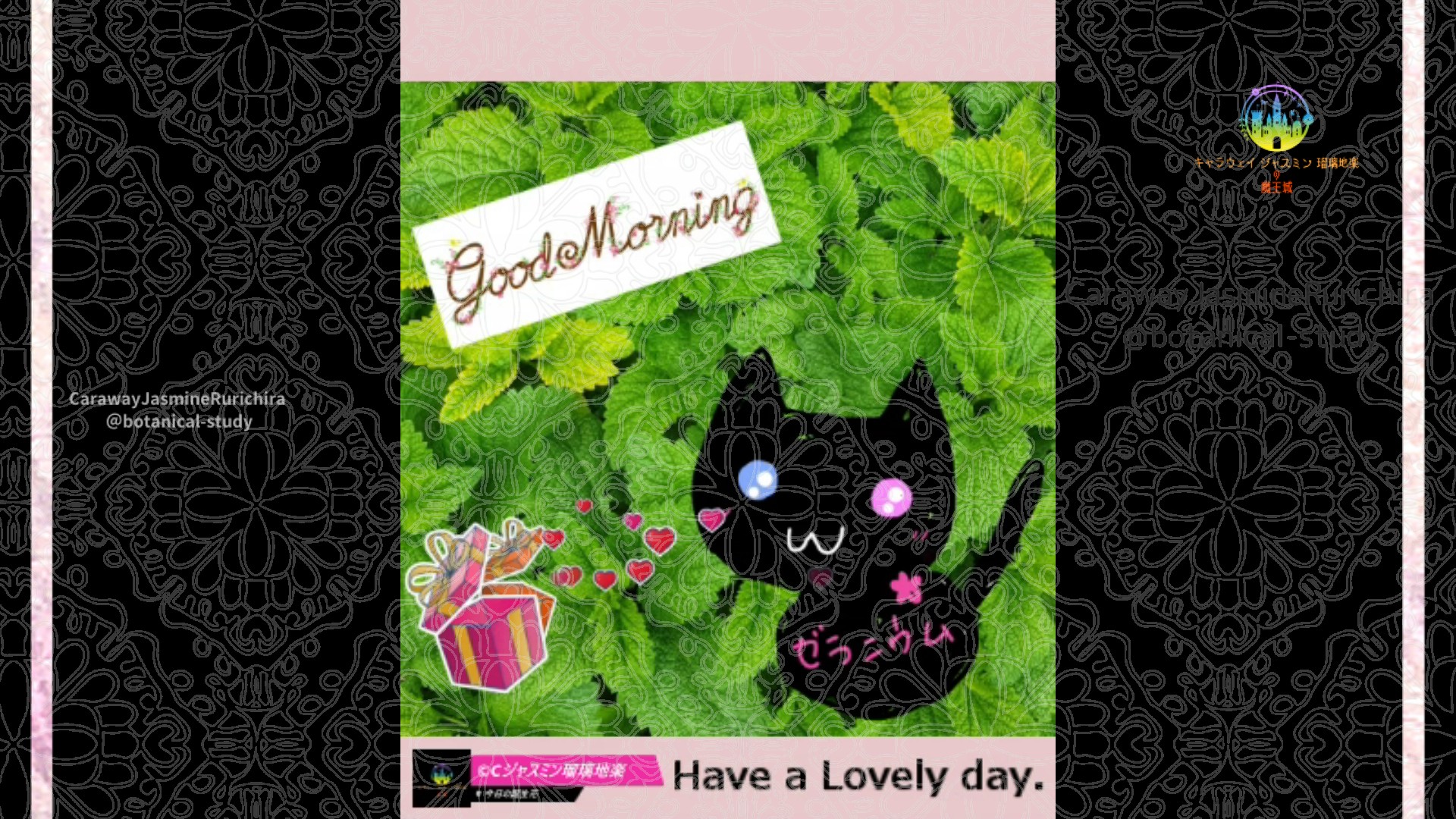 「ミント」7月11日Rゼラニウム瑠璃地楽と今日の誕生花とおはようメッセージ＠botanical-study