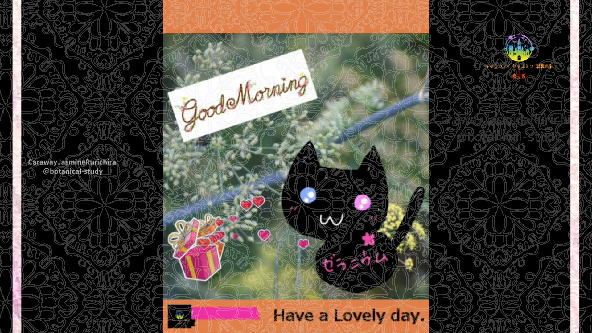 「フェンネル」7月23日Rゼラニウム瑠璃地楽と今日の誕生花とおはようメッセージ＠botanical-study
