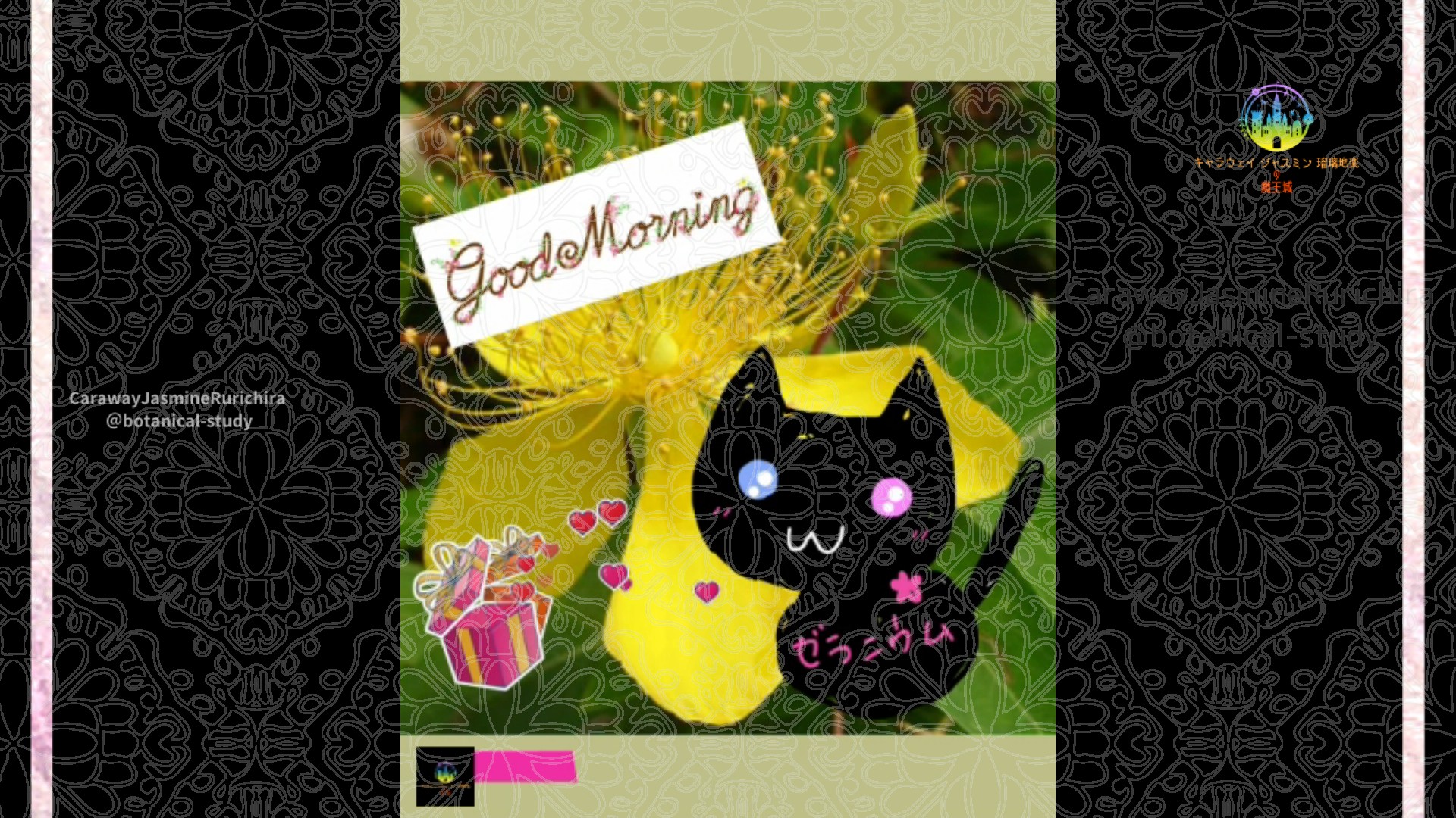「ビヨウヤナギ」7月31日Rゼラニウム瑠璃地楽と今日の誕生花とおはようメッセージ＠botanical-study